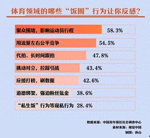 体育圈饭圈化